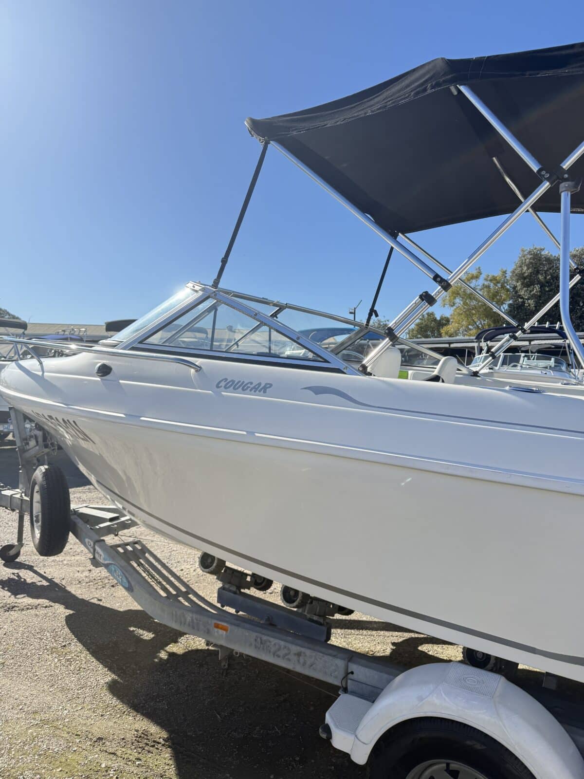 Caribbean Cougar - 2004