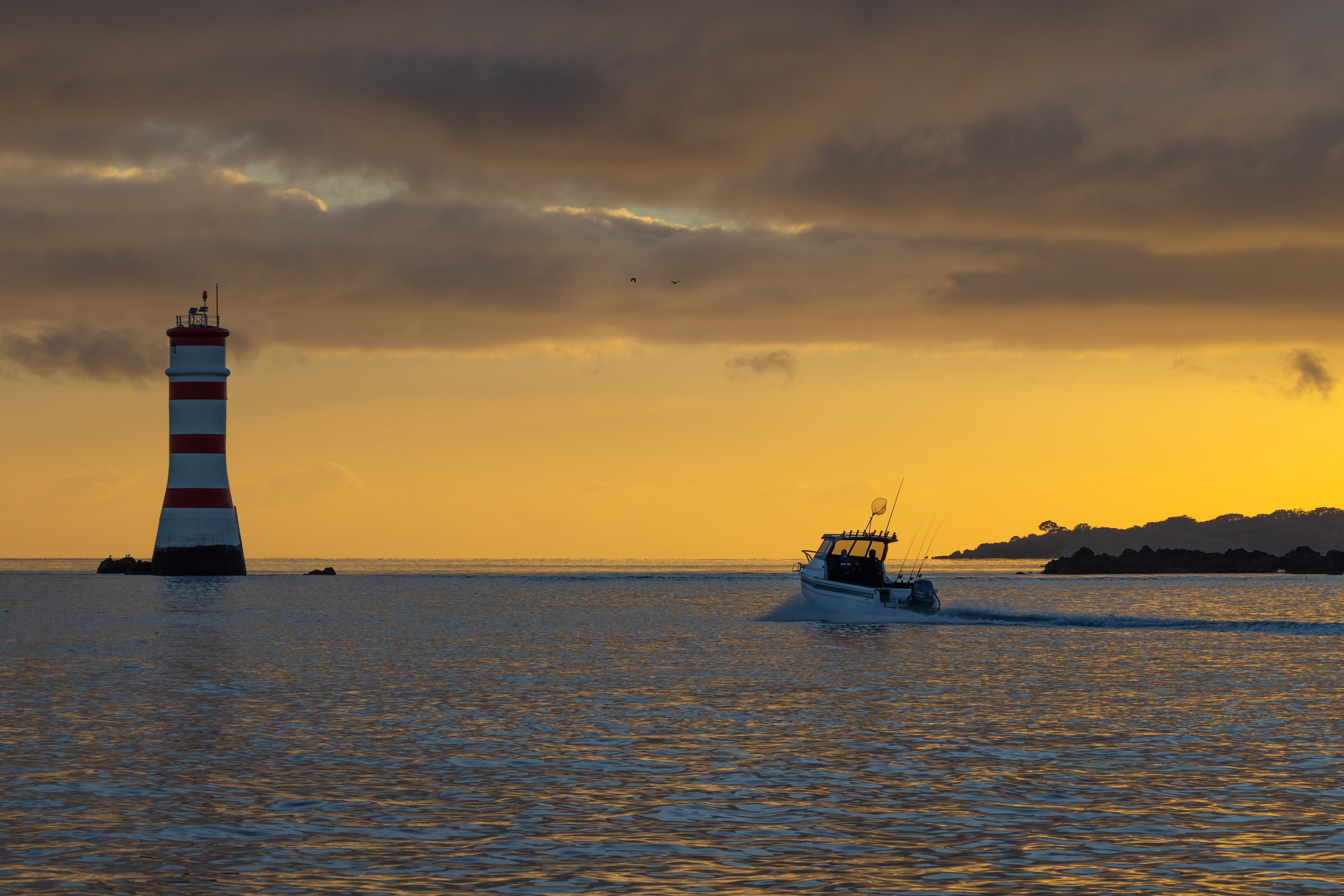 Senator 550HT - 2025