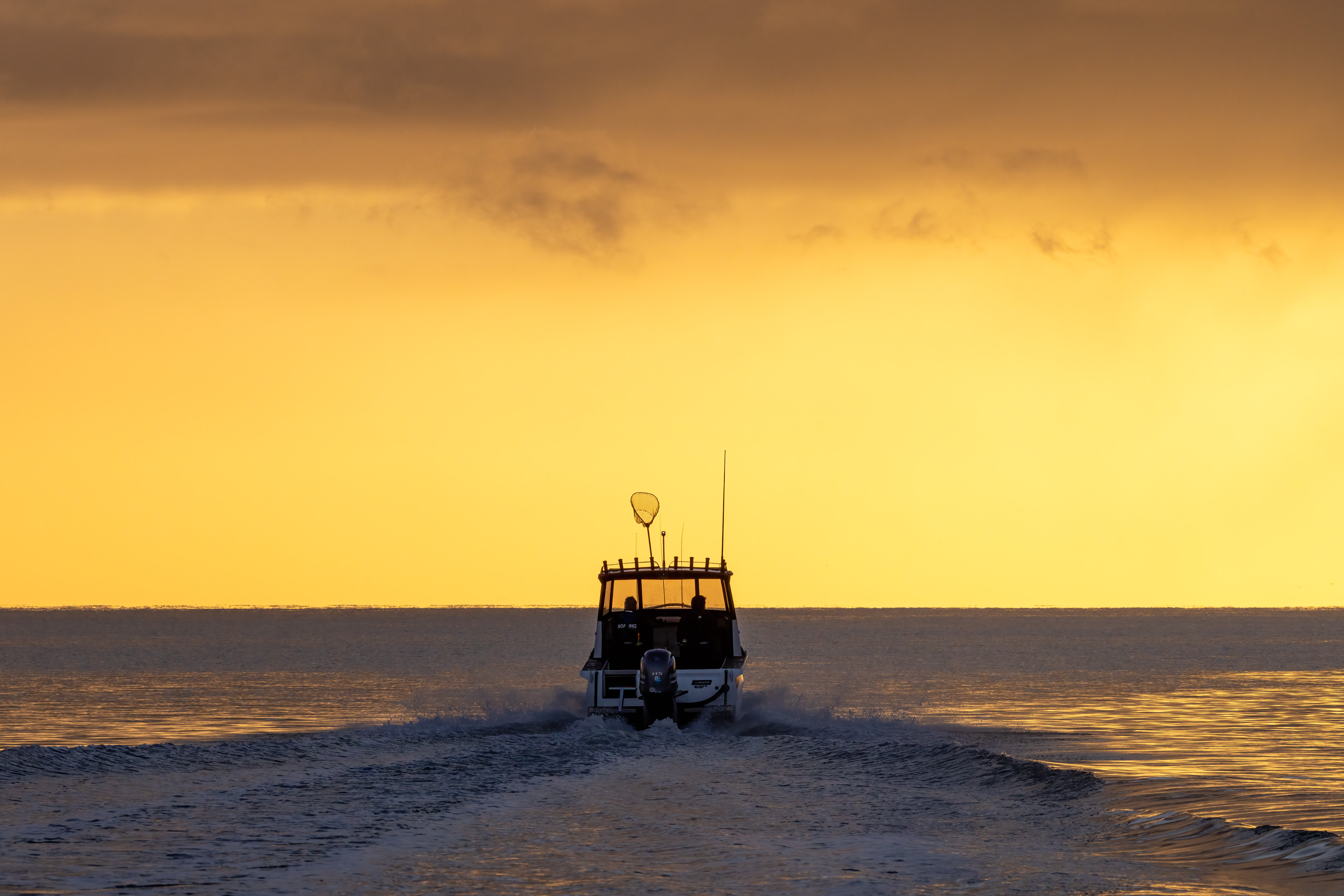 Senator 550HT - 2025