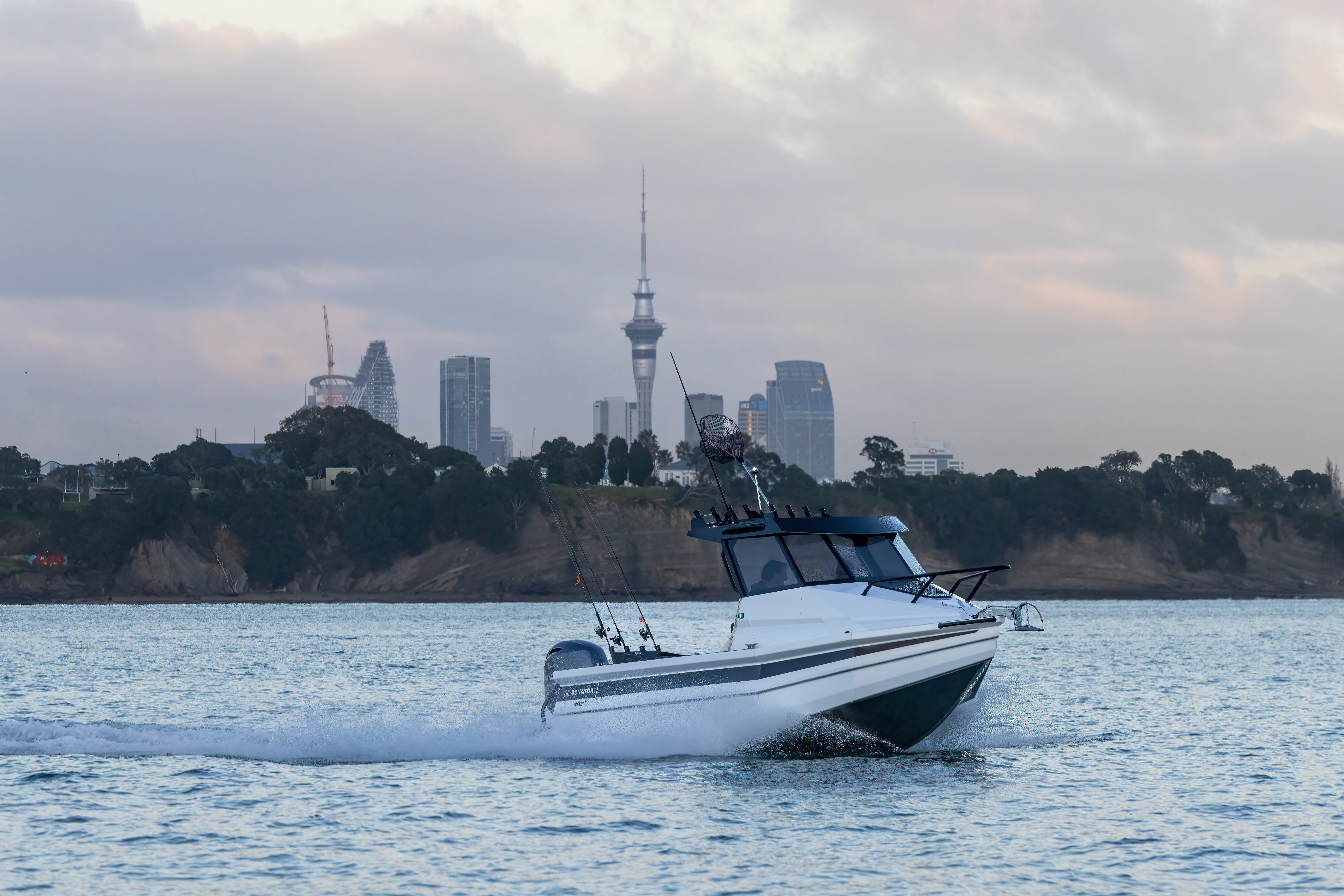 Senator 550HT - 2025