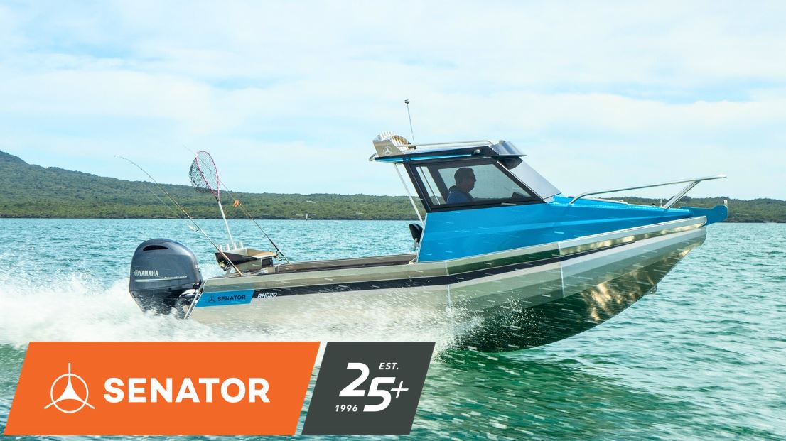 New Senator In Stock